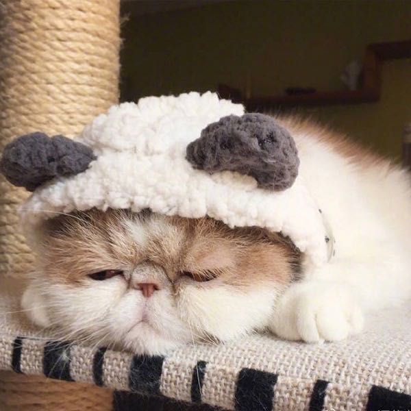 个人主页
